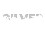 Aperçu de Silver