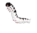 Aperçu public du rayon Curiosités