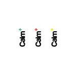 Aperçu de Eliquides CBD